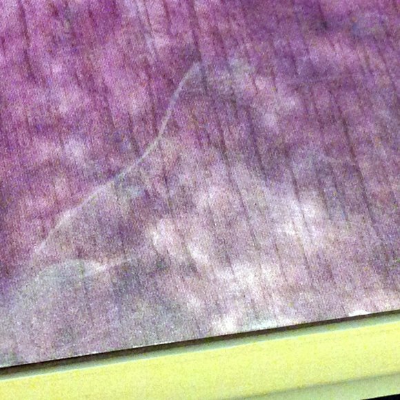 Lori Copeland Western, Men of the Saddle, Book three - Picture 8 of 8